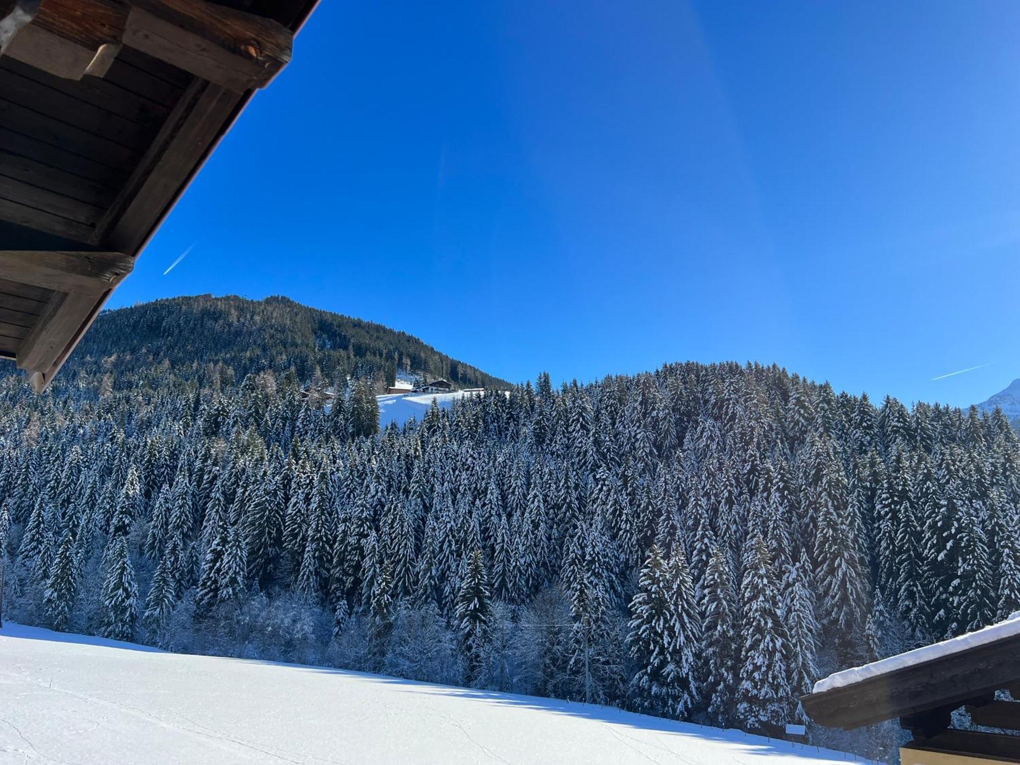 Ferienwohnungen Unterfeld Alpbach Exterior foto