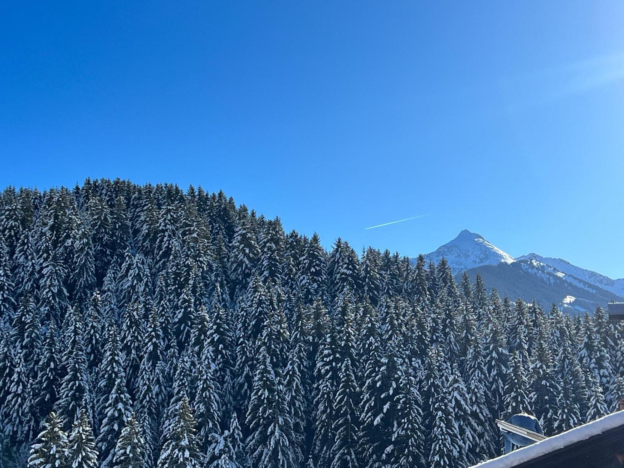 Ferienwohnungen Unterfeld Alpbach Exterior foto