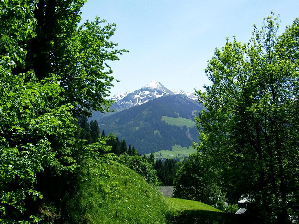 Ferienwohnungen Unterfeld Alpbach Exterior foto