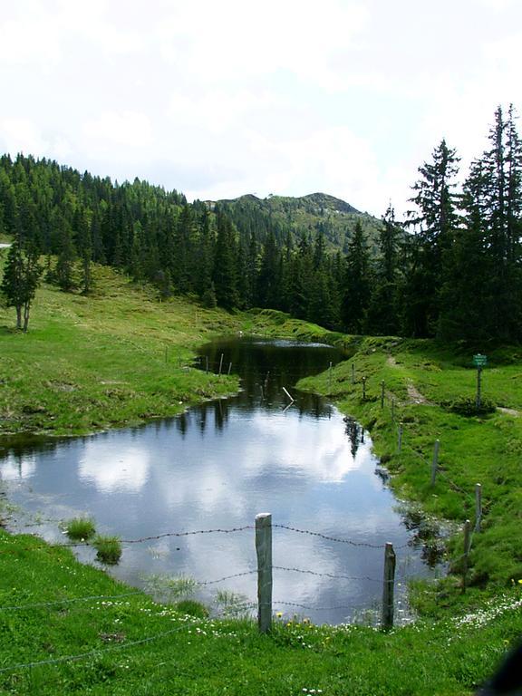 Ferienwohnungen Unterfeld Alpbach Exterior foto