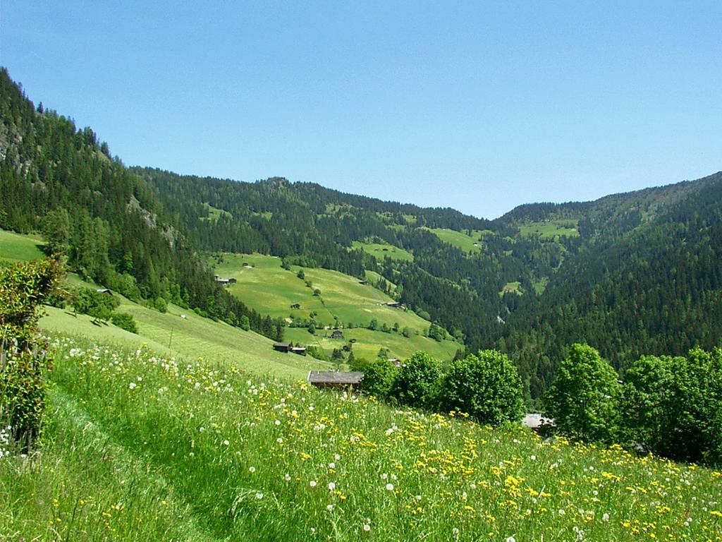 Ferienwohnungen Unterfeld Alpbach Exterior foto